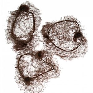 Pack of 3 Bun Nets