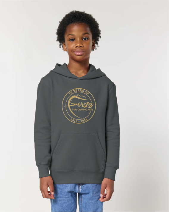 Forza 10 years Special Ed. overhead hoodie